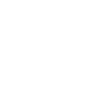 Diligence icon